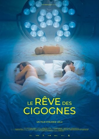 Poster of Dream of Storks