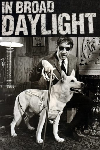 Poster of In Broad Daylight