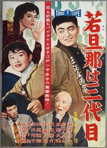 Poster of The Young Boss is Third Generation