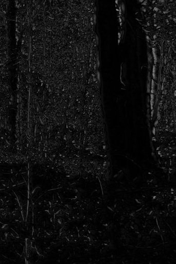 Phosphenes II Poster of Phosphenes II