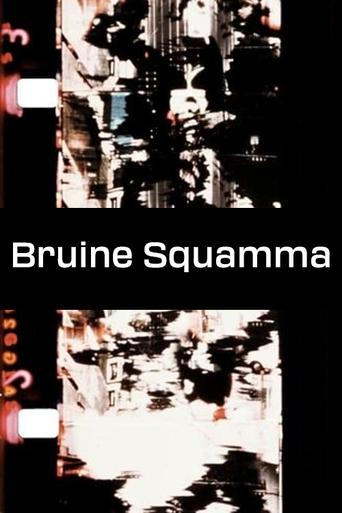 Poster of Bruine Squamma