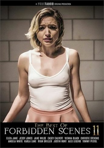 Poster of The Best of Forbidden Scenes 11