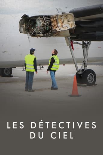 Poster of Les Détectives du ciel