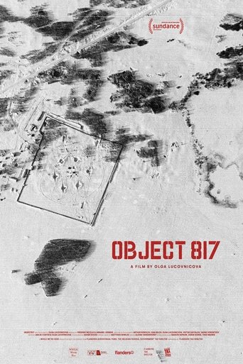 Poster of Object 817