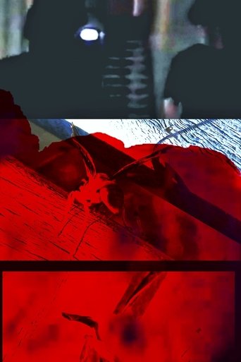 Poster of Because I felt like it