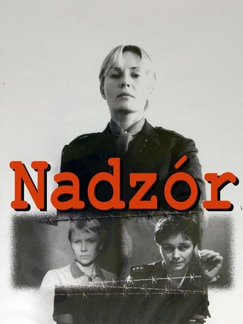 Poster of Custody