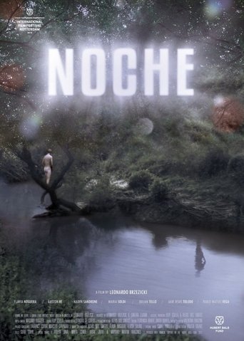 Poster of Night