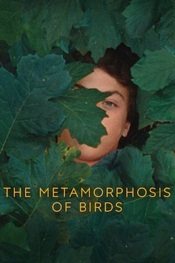 Poster of The Metamorphosis of Birds