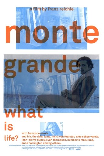 Poster of Monte Grande: What is Life?