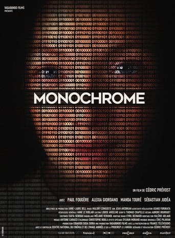 Poster of Monochrome