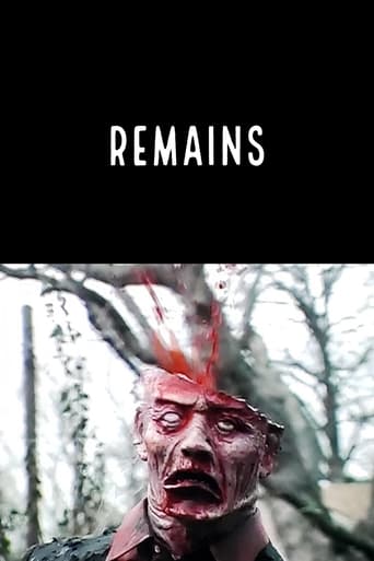 Poster of Remains