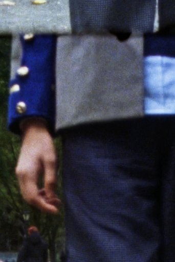 Poster of Walking
