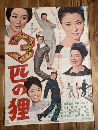 Poster of 3 Raccoon Dogs