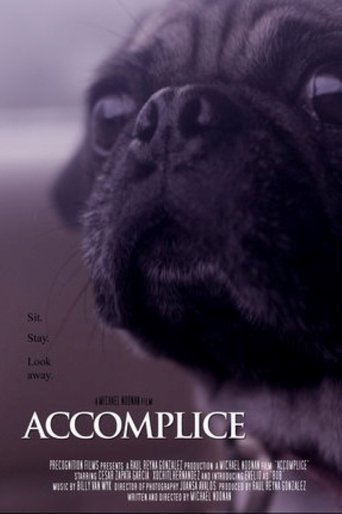 Poster of Accomplice