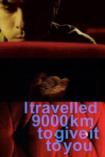 Poster of I Travelled 9000 km to Give It to You