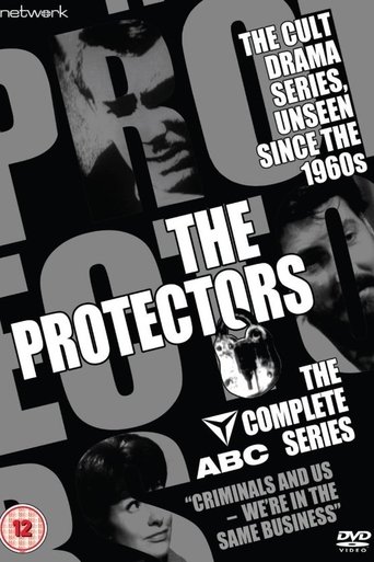Poster of The Protectors