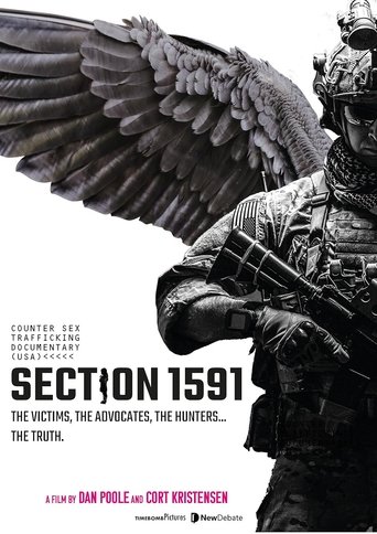 Poster of Section 1591