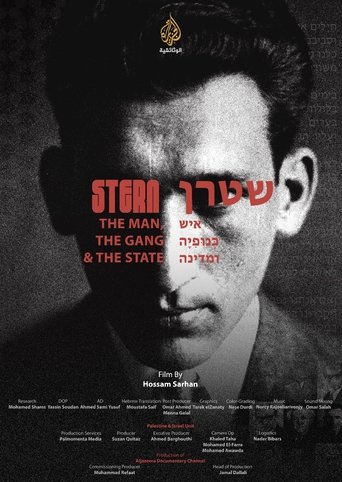 Poster of Stern: The man, The gang, and The State