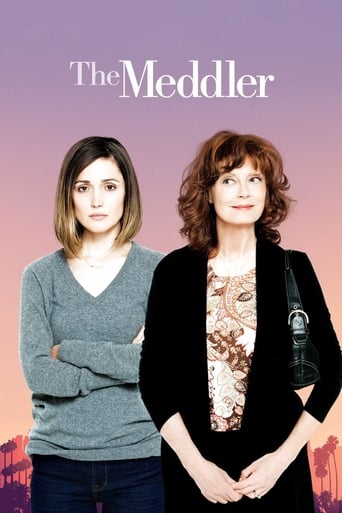 Poster of The Meddler