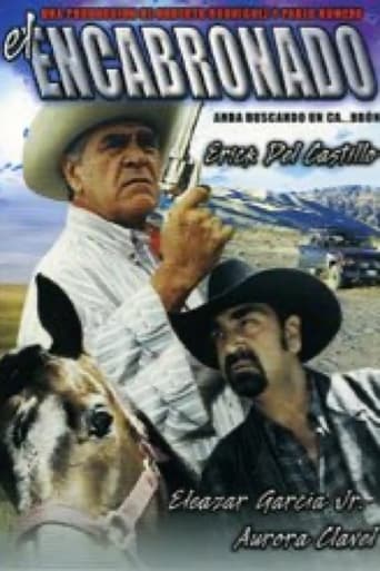 Poster of El encabronado