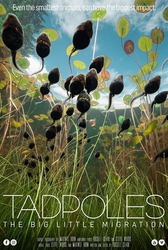 Poster of Tadpoles: The Big Little Migration