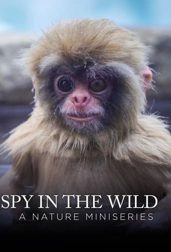 Poster of Spy in the Wild