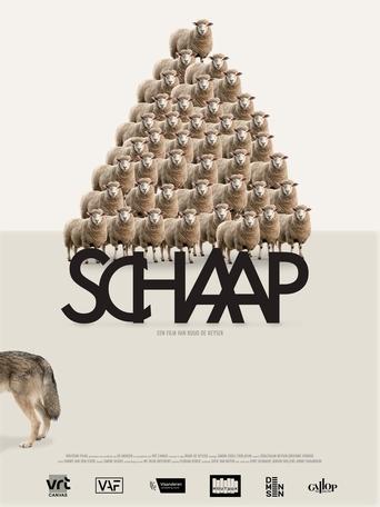 Poster of Sheep