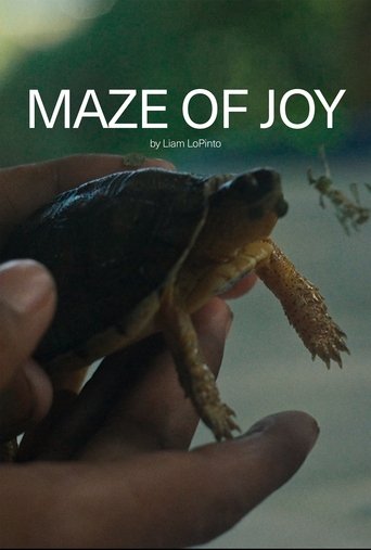 Poster of Maze of Joy