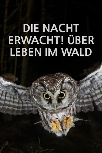 Poster of Die Nacht erwacht! Über Leben im Wald