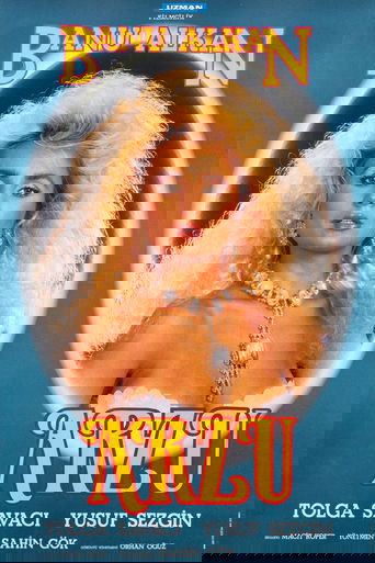Poster of Arzu