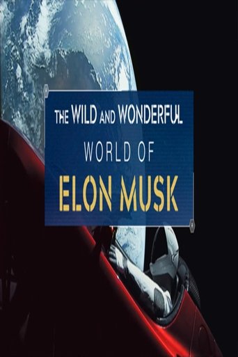 Poster of The Wild and Wonderful World of Elon Musk