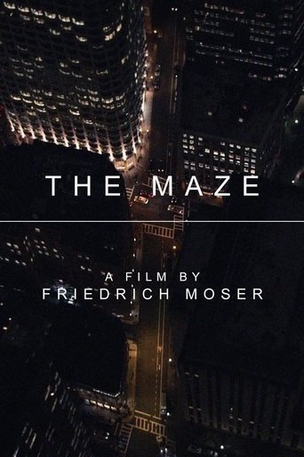 Poster of The Maze