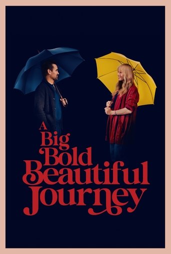 Poster of A Big Bold Beautiful Journey