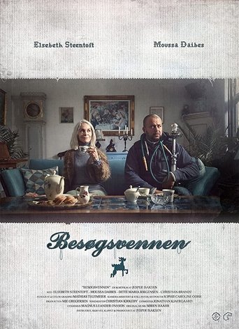 Poster of Besøgsvennen