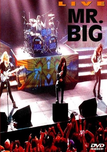 Poster of Mr. Big: Live