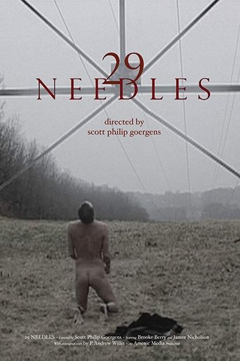 Poster of 29 Needles