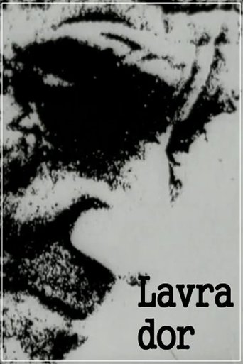 Poster of Lavra Dor