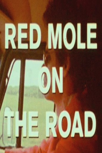 Poster of On the Road with Red Mole