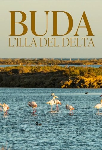 Poster of Buda, l'illa del Delta