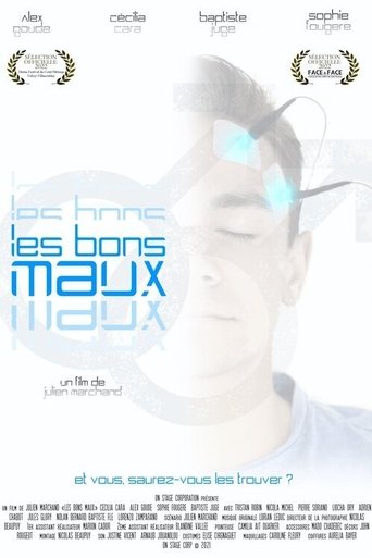 Poster of Les bons maux