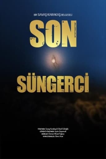 Poster of Son Süngerci