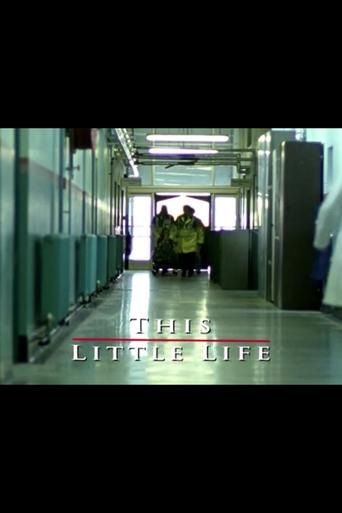 Poster of This Little Life