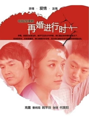 Poster of 再婚进行时