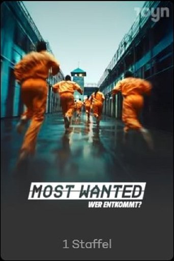 Portrait for Most Wanted - Season 1