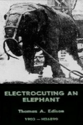 Poster of Electrocuting an Elephant