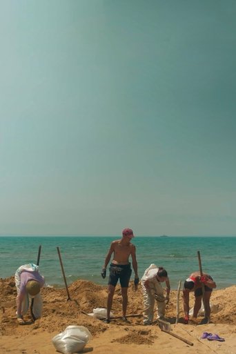 Poster of The Last Camp