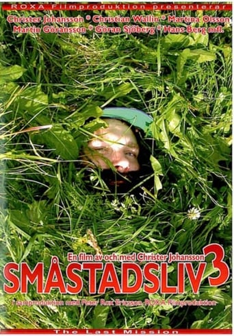 Poster of Småstadsliv 3