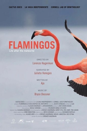 Poster of Flamingos: Life After the Meteorite