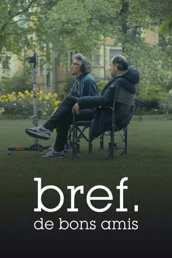 Poster of Bref. De bons amis