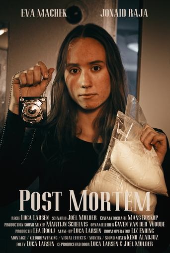 Poster of Post Mortem